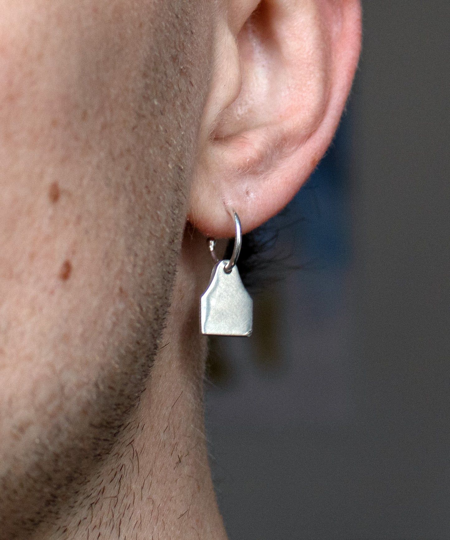 Cow ear tags - earhoops
